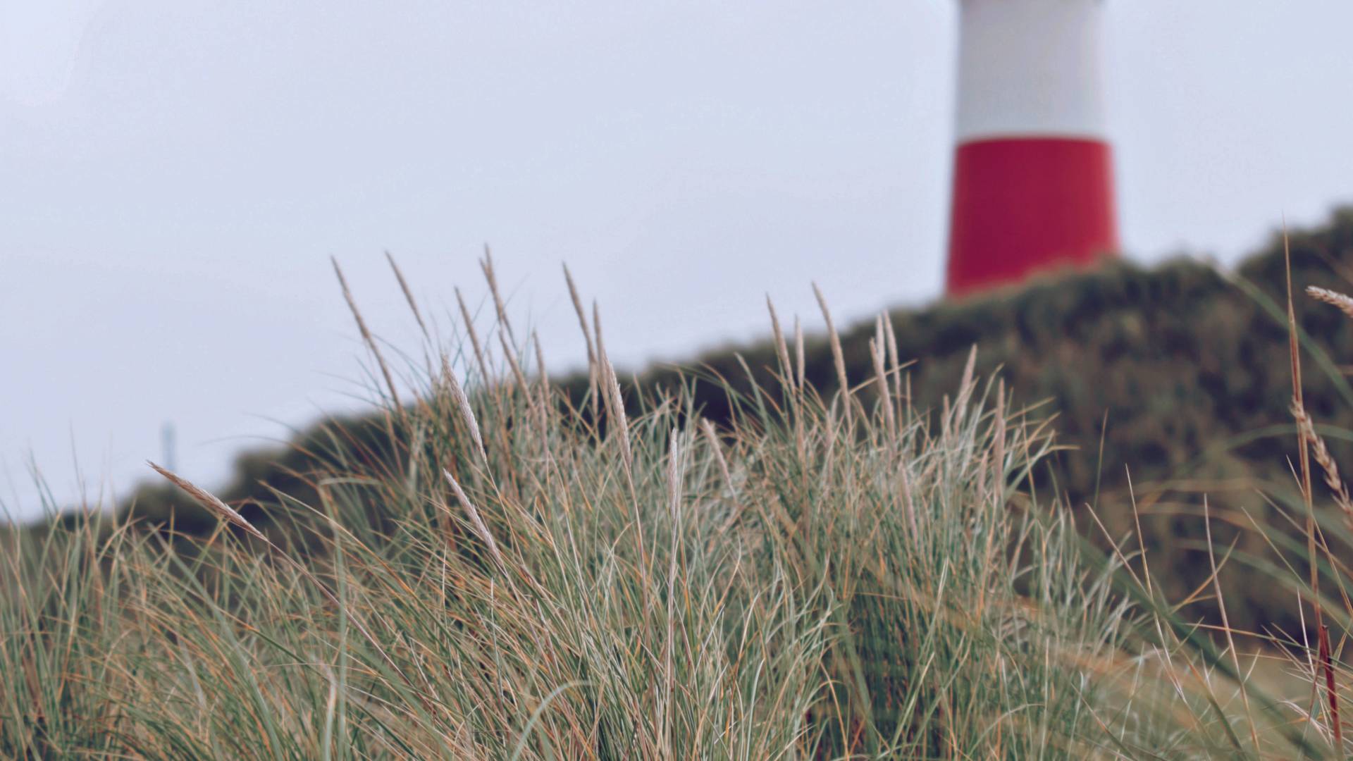 Animations and graphics for “Our history” from the NDR