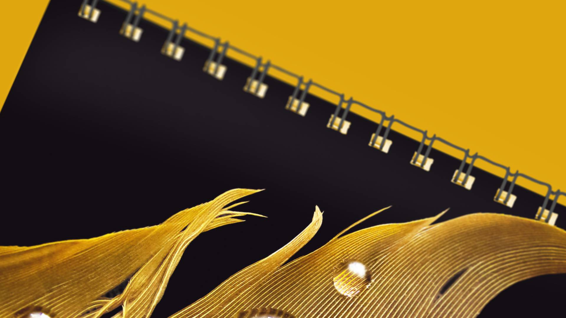 WACKER calendar with AR function